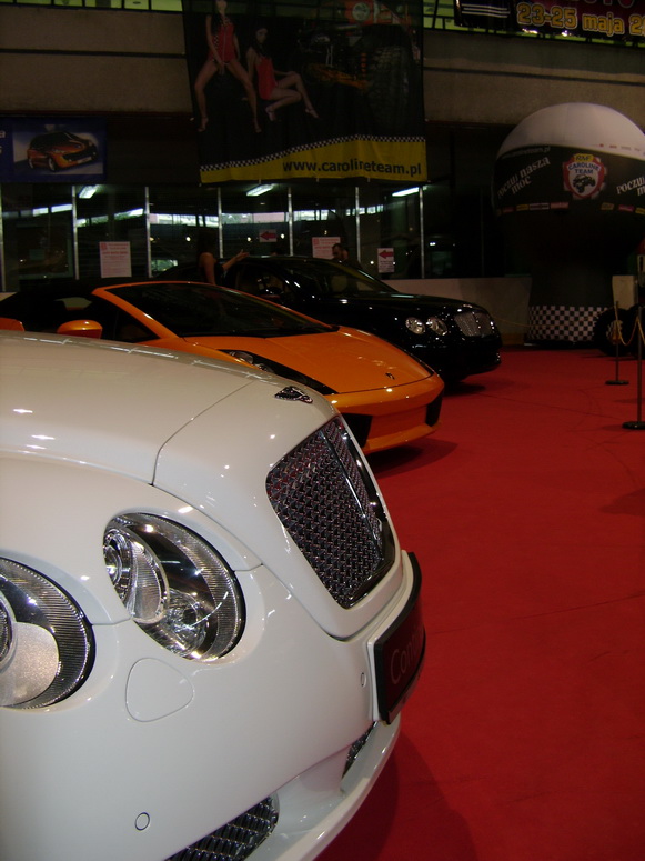 Auto Moto Show 2008 - Fotka 13