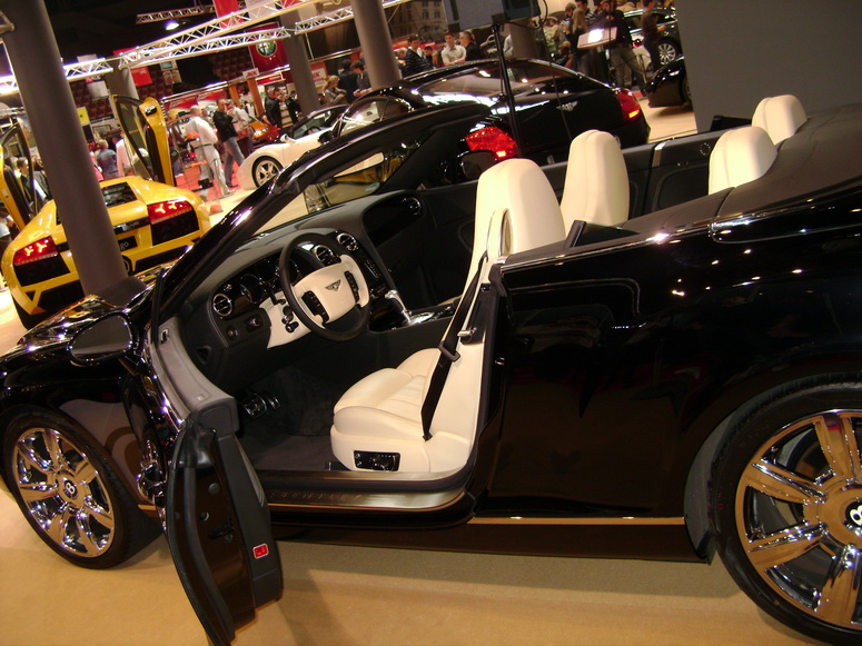 Auto Moto Show 2008 - Fotka 17