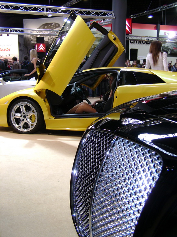 Auto Moto Show 2008 - Fotka 21