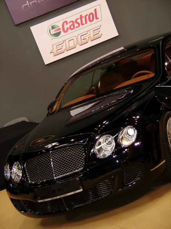Auto Moto Show 2008 - Fotka 22