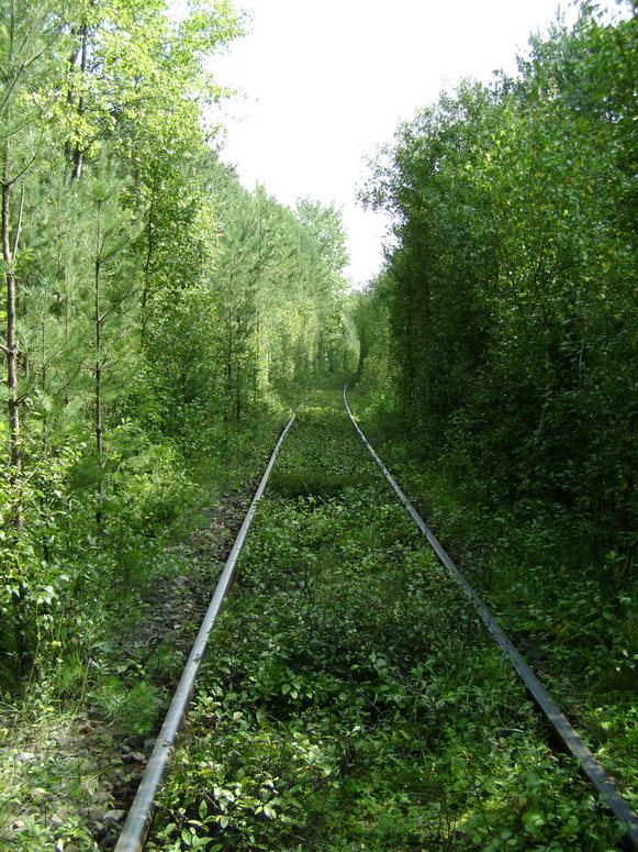 Wyprawa do lasu - Fotka 03