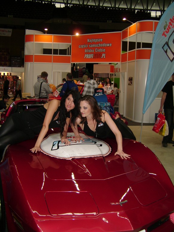 ProfiAuto Show 2010 - Fotka 13