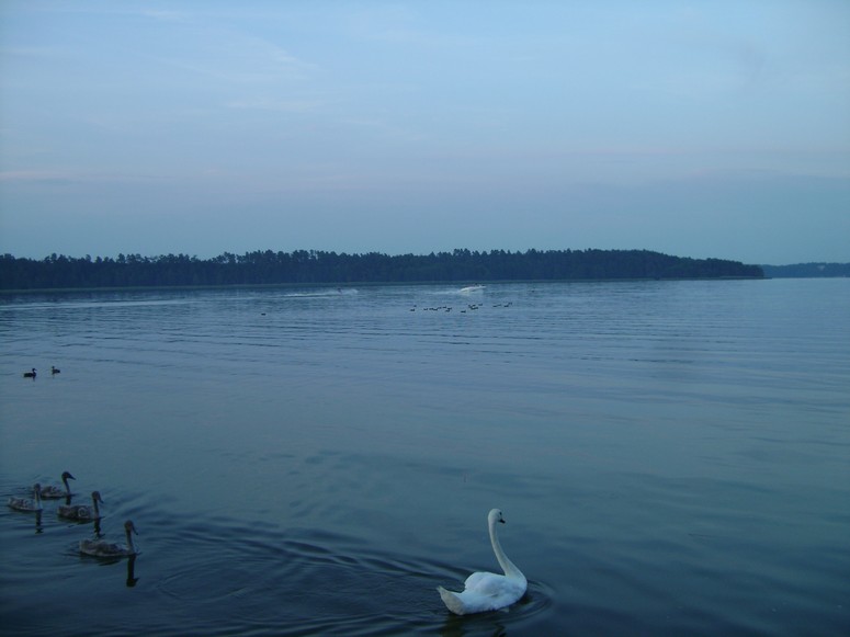 AugustĂłw - Fotka 05
