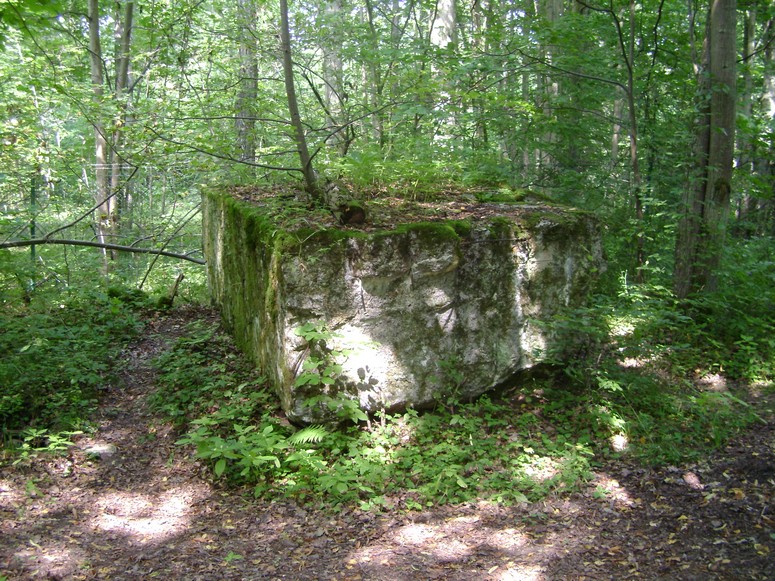 Wilczy Szaniec - Fotka 08