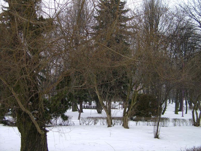 CzeladĹş - Fotka 02