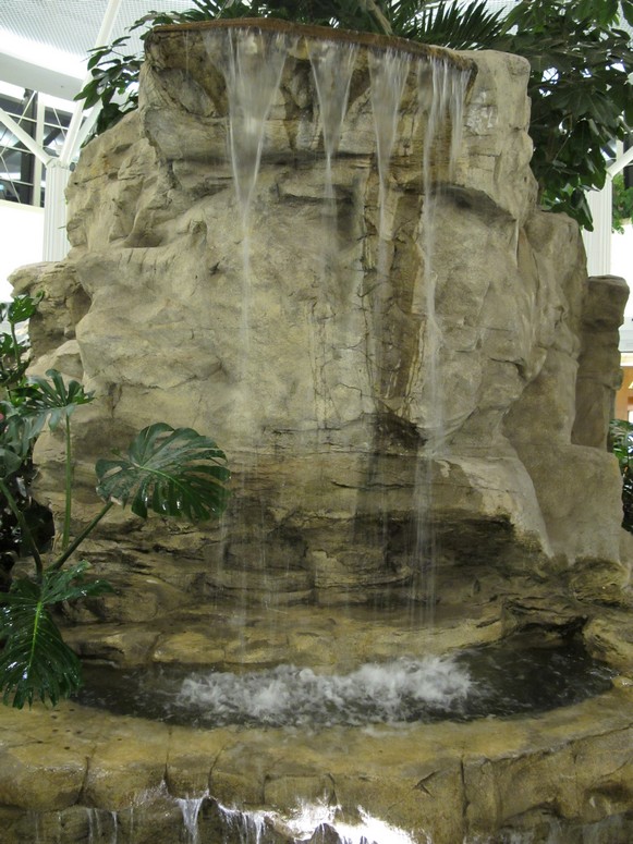 SCC Plac Tropikalny - Fotka 04