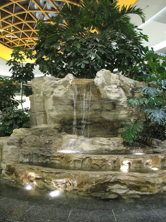SCC Plac Tropikalny - Fotka 05