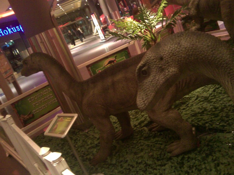 Punkt44 Dino - Fotka 04