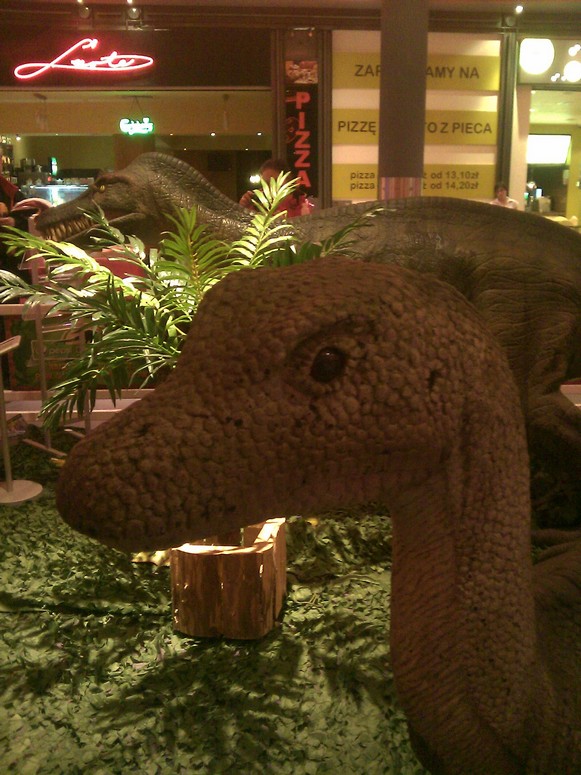 Punkt44 Dino - Fotka 05