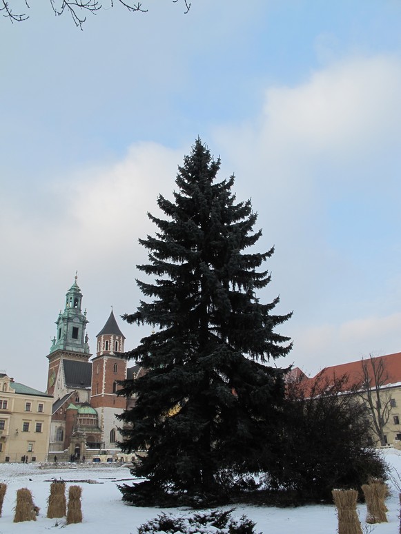 Wawel - Fotka 23
