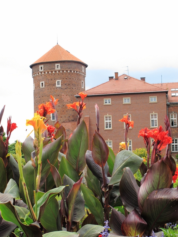 Wawel - Fotka 31
