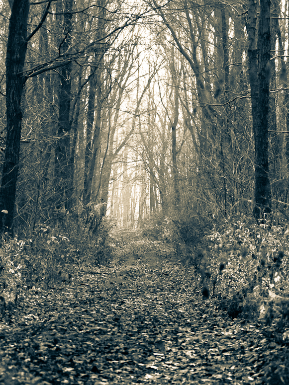 Ĺaziska - Fotka 39