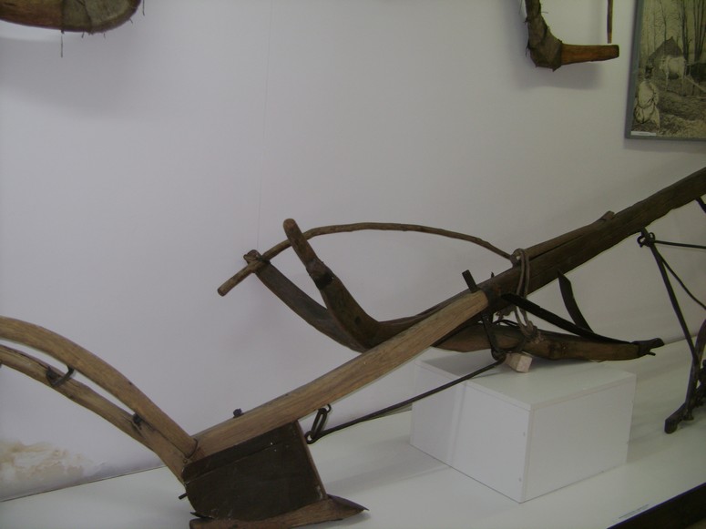Muzeum Ziemi Augustowskiej - Fotka 08