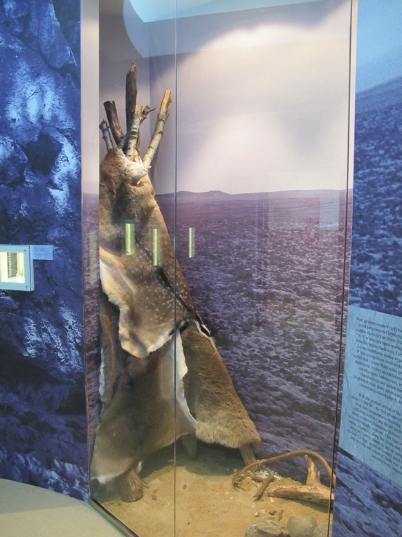 Muzeum Archeologiczne i Etnograficzne w Ĺodzi - Fotka 05