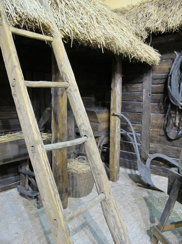 Muzeum Archeologiczne i Etnograficzne w Ĺodzi - Fotka 33