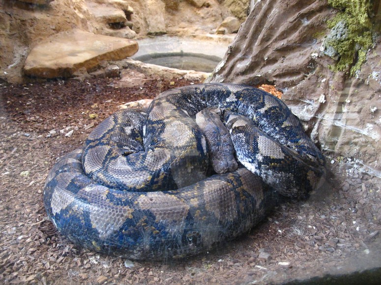 Zoo ChorzĂłw - Fotka 29