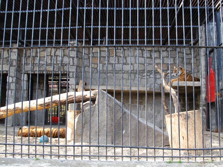 Zoo ChorzĂłw - Fotka 34