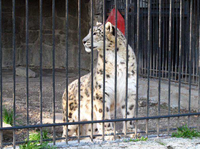 Zoo ChorzĂłw - Fotka 35