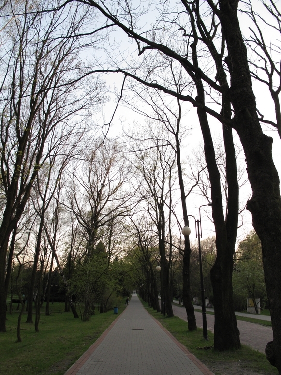 Park w Chorzowie - Fotka 06