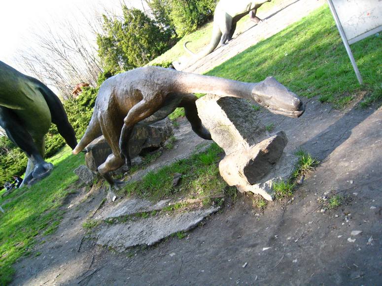 Dolina dinozaurĂłw - Fotka 10