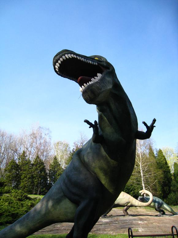 Dolina dinozaurĂłw - Fotka 11