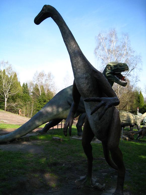 Dolina dinozaurĂłw - Fotka 12