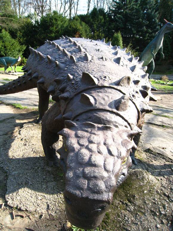 Dolina dinozaurĂłw - Fotka 15