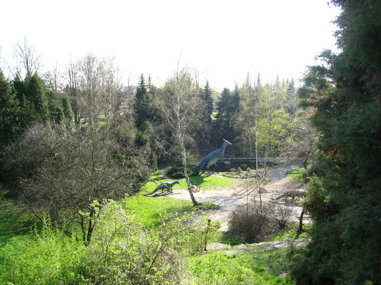 Dolina dinozaurĂłw - Fotka 16