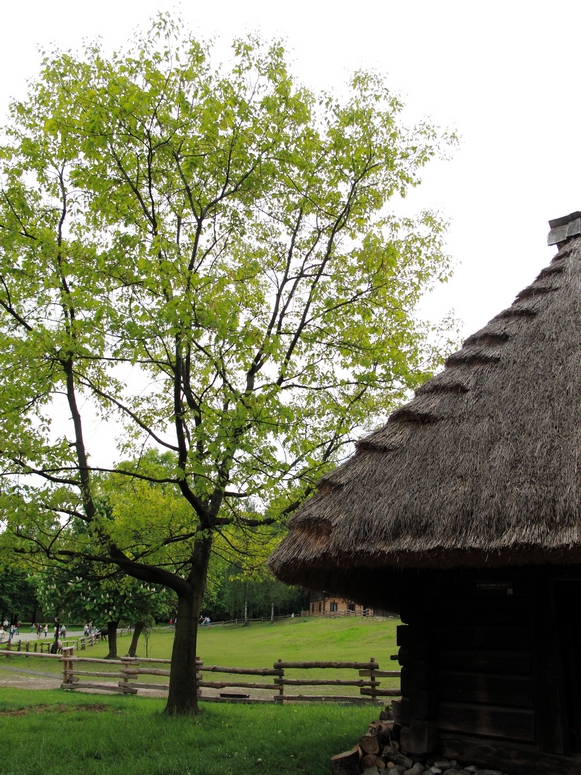 Skansen w Chorzowie - Fotka 19