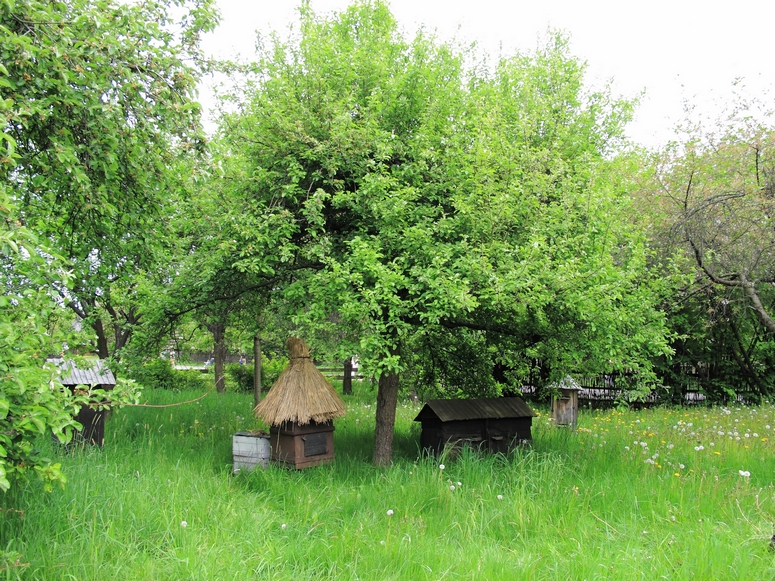 Skansen w Chorzowie - Fotka 24