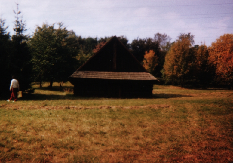 Skansen w Chorzowie - Fotka 51