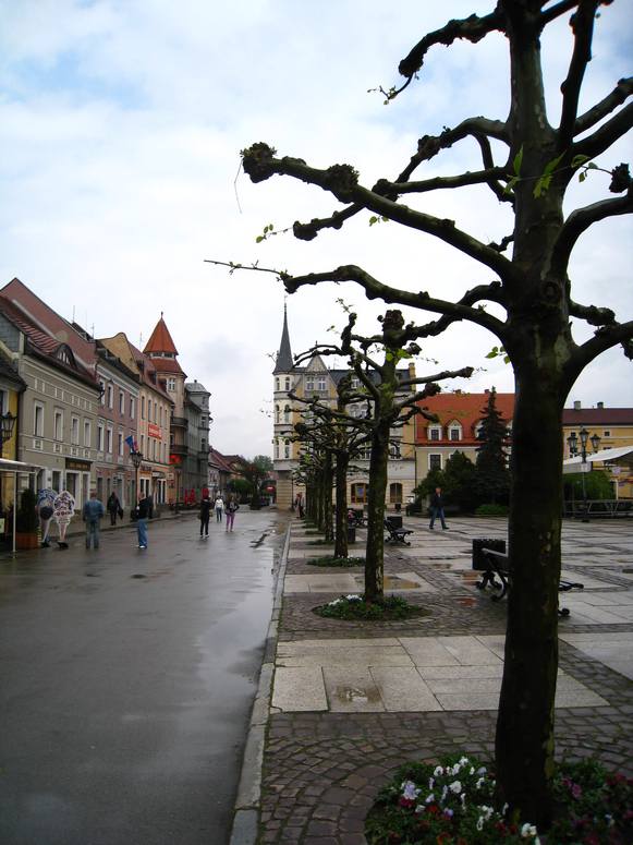 Pszczyna - Fotka 03