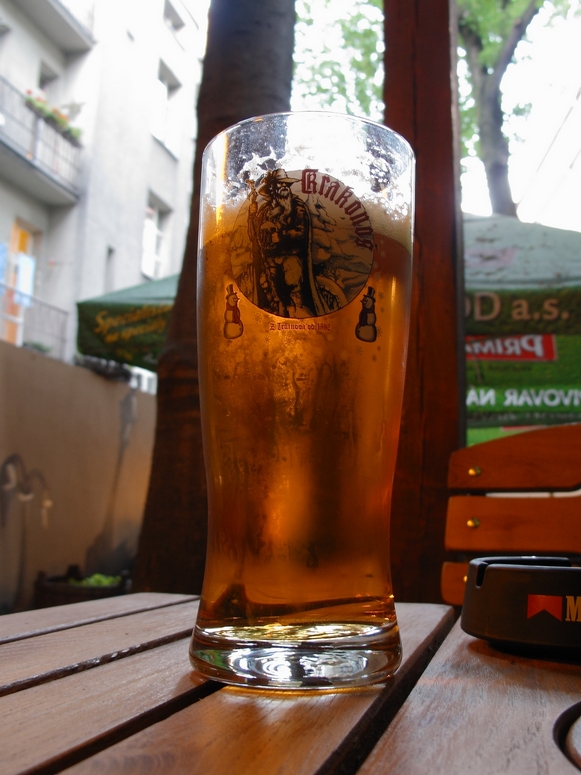 Piwo - Fotka 17