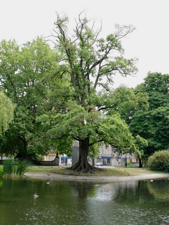 PoznaĹ - Fotka 39