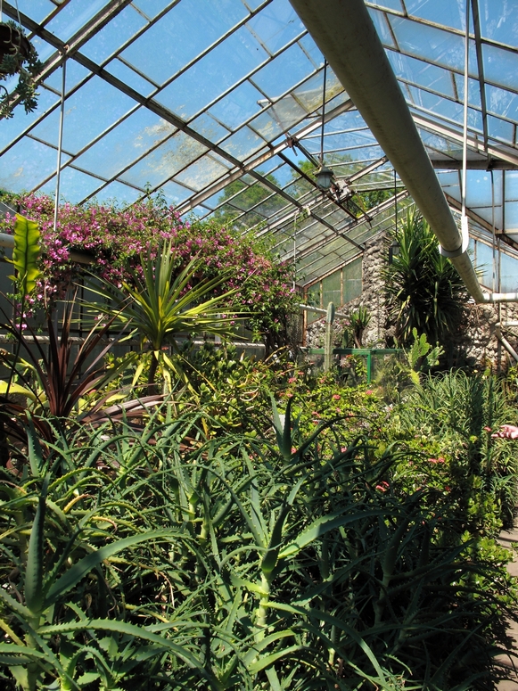 Egzotarium Sosnowiec - Fotka 03