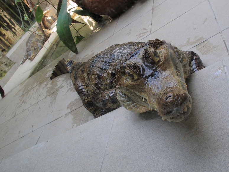 Egzotarium Sosnowiec - Fotka 08