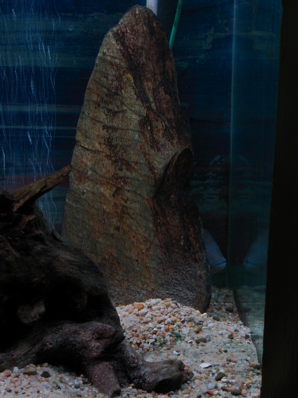 Egzotarium Sosnowiec - Fotka 10