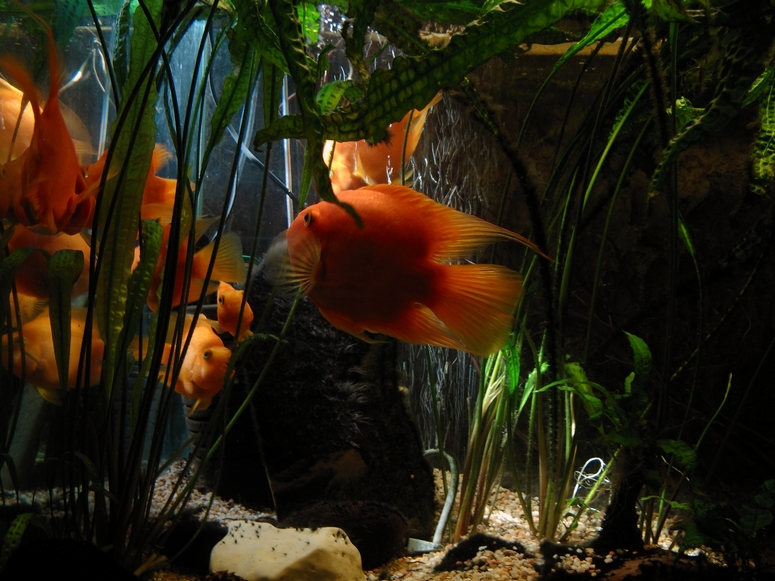 Egzotarium Sosnowiec - Fotka 12