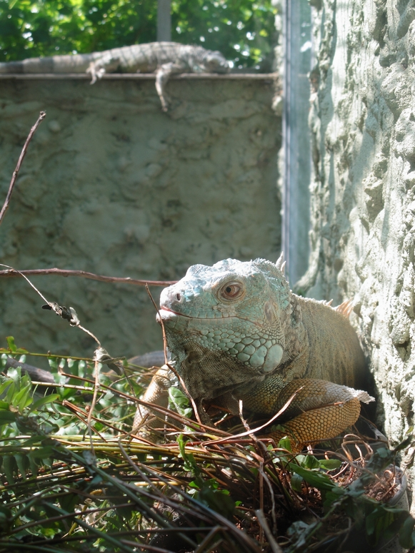 Egzotarium Sosnowiec - Fotka 20