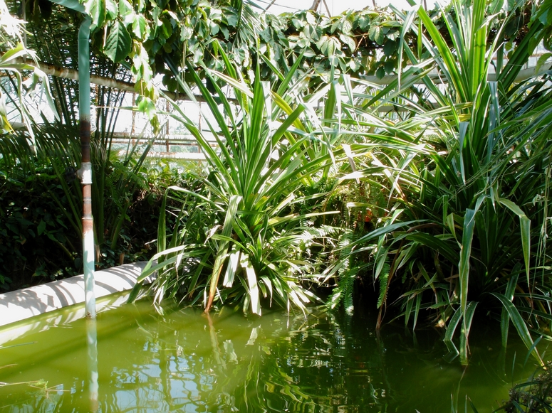 Egzotarium Sosnowiec - Fotka 24