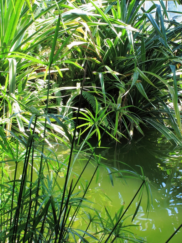 Egzotarium Sosnowiec - Fotka 25
