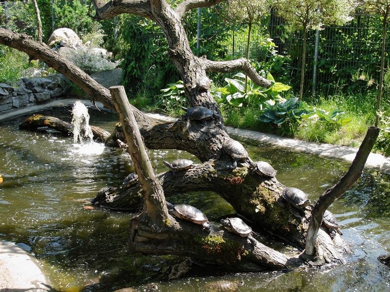 Egzotarium Sosnowiec - Fotka 30