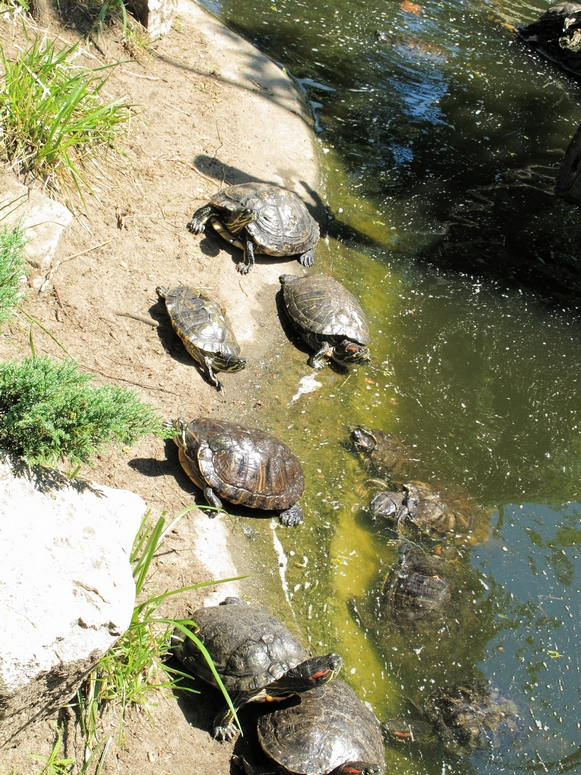 Egzotarium Sosnowiec - Fotka 32