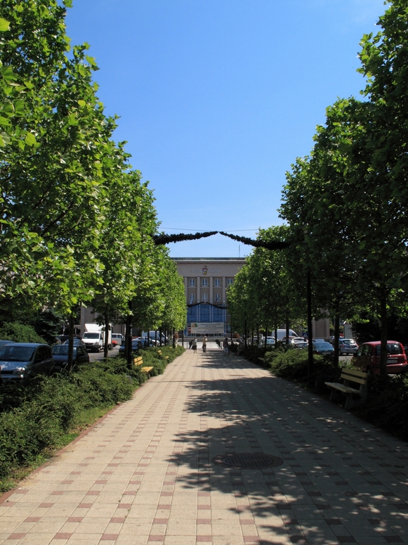 Sosnowiec - Fotka 10