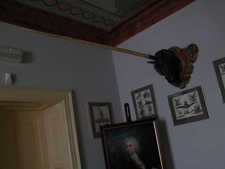 Muzeum ĹlÄska CieszyĹskiego - Fotka 07