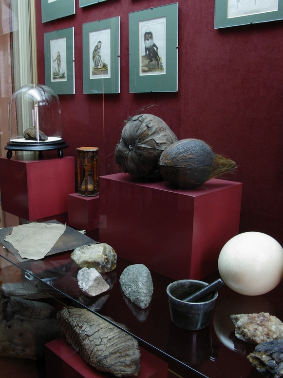 Muzeum ĹlÄska CieszyĹskiego - Fotka 08