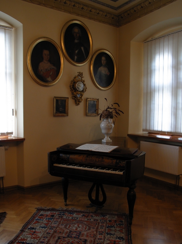 Muzeum ĹlÄska CieszyĹskiego - Fotka 11