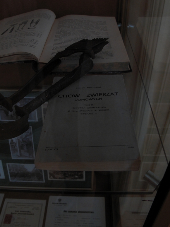 Muzeum ĹlÄska CieszyĹskiego - Fotka 24