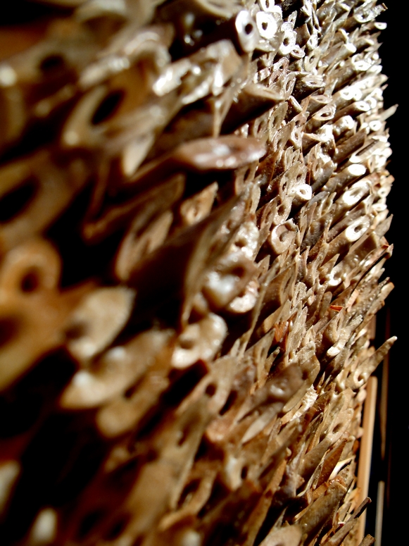 Muzeum ĹlÄska CieszyĹskiego - Fotka 25