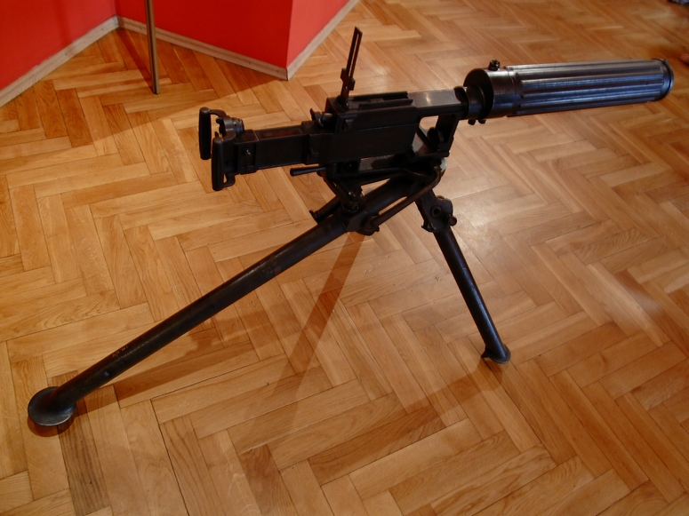 Muzeum ĹlÄska CieszyĹskiego - Fotka 34